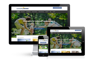 limited-pay-insurance-website-display-by-the-toronto-web-company